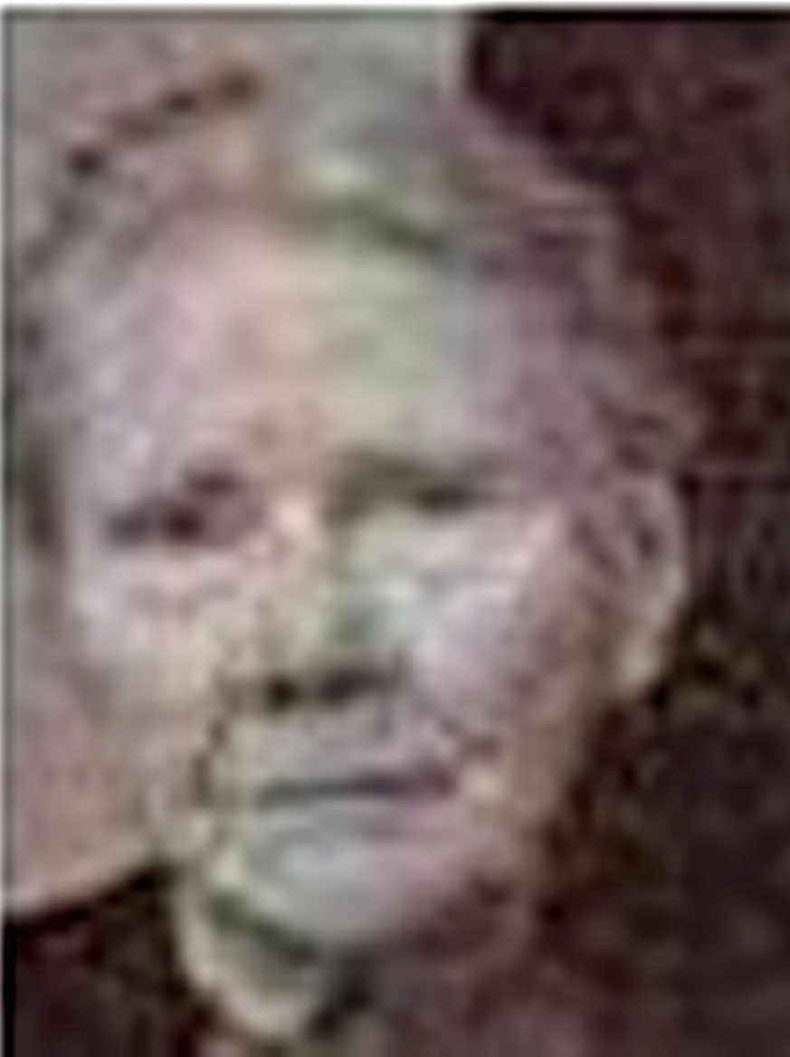 Taetske de Roos